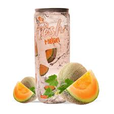 Fresh Drink Melon 330 ml